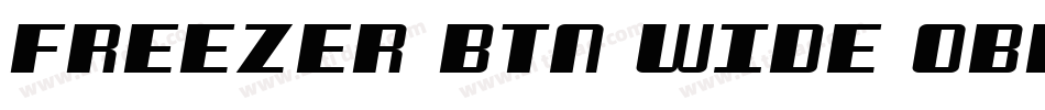 Freezer BTN Wide Oblique字体转换